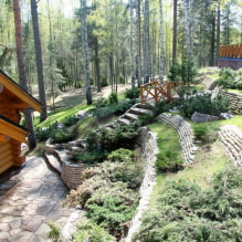 All about the improvement of the site on the slope-7