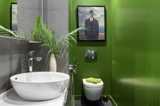 10 ideas on how to decorate the wall above the toilet
