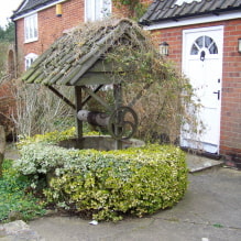 Making a well in the country - nuances and unusual examples-5