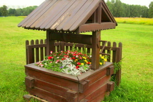 Making a well in the country - nuances and unusual examples