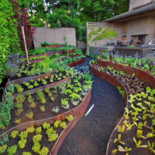 10 Tips for Landscaping a Small Lot-2