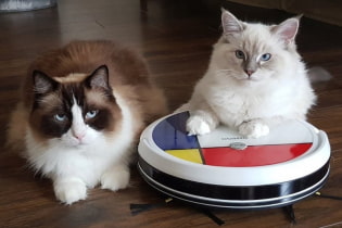 7 gadgets that will make cleaning much easier