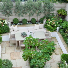 How to arrange landscape design of a narrow area? -5