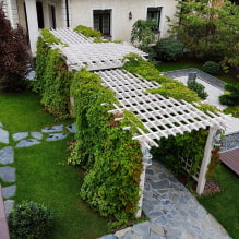 How to arrange landscape design of a narrow area? -8