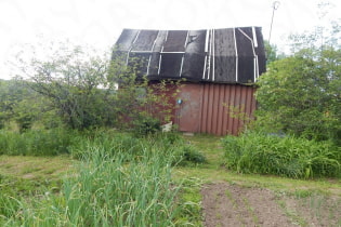 What can you save on when renovating your summer cottage?