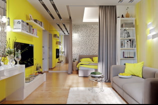 How to zone a one-room apartment so that everyone is happy