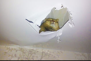 How to close a hole in a stretch ceiling?