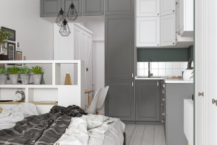 How to equip a narrow studio of 28 sq m (project in Rostov-on-Don)