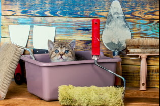 How to make a budget renovation if there is no money