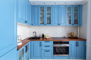 Blue kitchen design