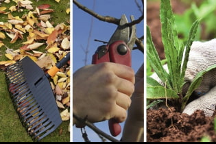 Mistakes in the country, which are best avoided in the fall