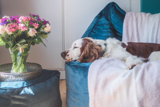 How to replace the sofa in the living room?