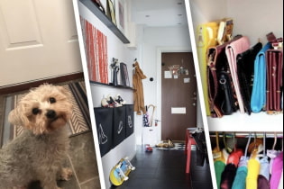 What things litter a small hallway?