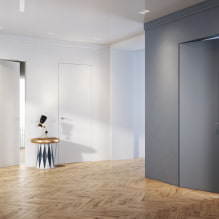 Hidden doors in the interior (pros and cons, photo and design) -5