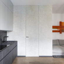 Hidden doors in the interior (pros and cons, photo and design) -4