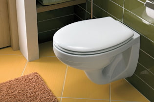 How to choose a wall-hung toilet?