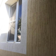 Decorative plaster bark beetle: a detailed guide-1