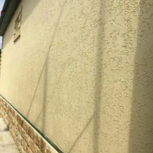 Decorative plaster bark beetle: a detailed guide-0