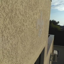 Decorative plaster bark beetle: a detailed guide-3