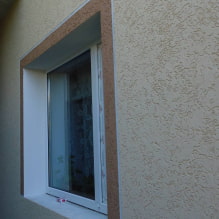 Decorative plaster bark beetle: a detailed guide-4