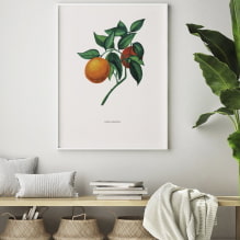 How to decorate walls with posters? -5