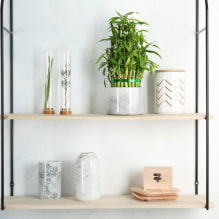 How to care for indoor bamboo? -3