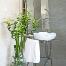 How to care for indoor bamboo? -5