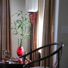 How to care for indoor bamboo? -7