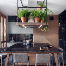 What kind of plants can I use in the kitchen? -5