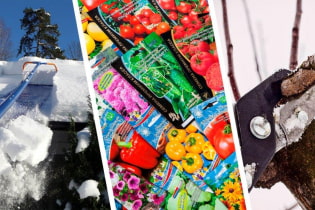 What should be done at the dacha in February?