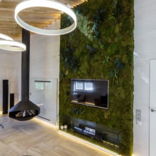 Features of the use of moss in interior design-0