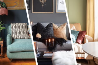 How to decorate the sofa area in the living room?