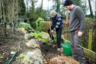 What fertilizers should be used in spring?