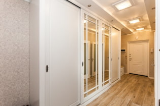 How to choose a wardrobe in the hallway?
