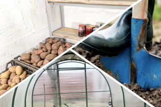 The most important things to do in the country in April