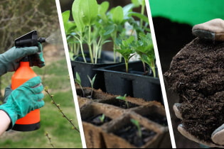 How to prepare a summer cottage for the season?