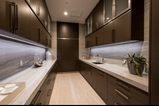Wenge kitchen design