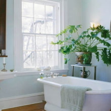 What and how to paint the walls in the bathroom? -0