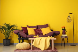 Yellow color in the interior