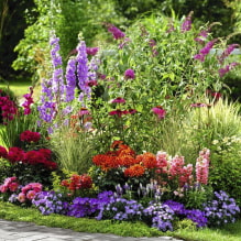 What is a bowlborder and how to make it on your site? -0