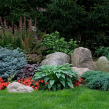 What is a miscborder and how to make it on your site?