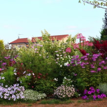 What is a miscborder and how to make it on your site? -4