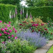 What is a miscborder and how to make it on your site? -5