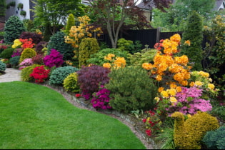 What is a miscborder and how to make it on your site?