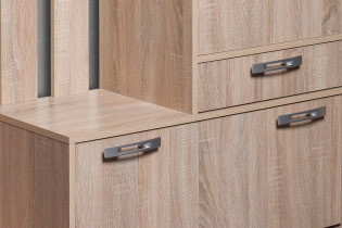 Sonoma oak in interior design