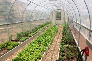 How to make beds in a greenhouse yourself?