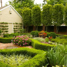 How to equip a plot of 8 acres? -4