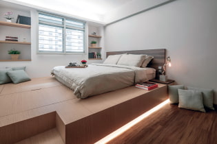 Podium in the apartment: design, use cases, decoration, 70 photos in the interior