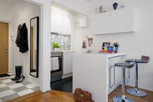 Design studio apartment 27 sq. m.