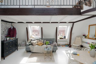 Attic apartment design